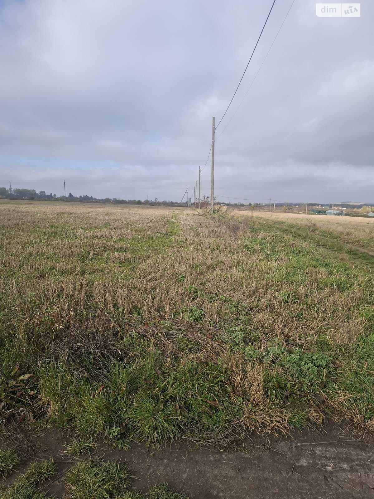 Земельна ділянка сільськогосподарського призначення в Лісових Гринівцях, площа 24.32 сотки фото 1