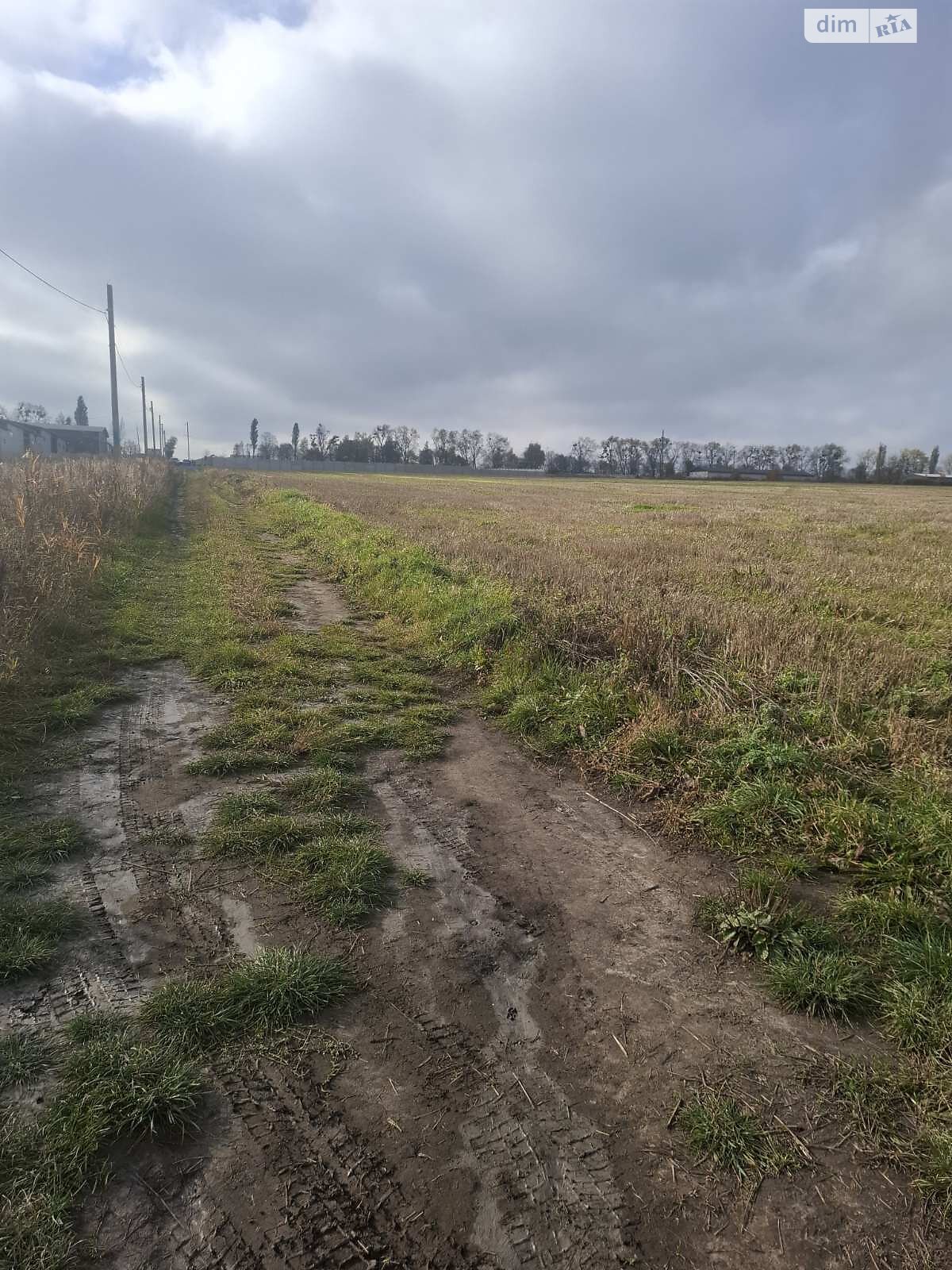 Земельна ділянка сільськогосподарського призначення в Лісових Гринівцях, площа 24.32 сотки фото 1