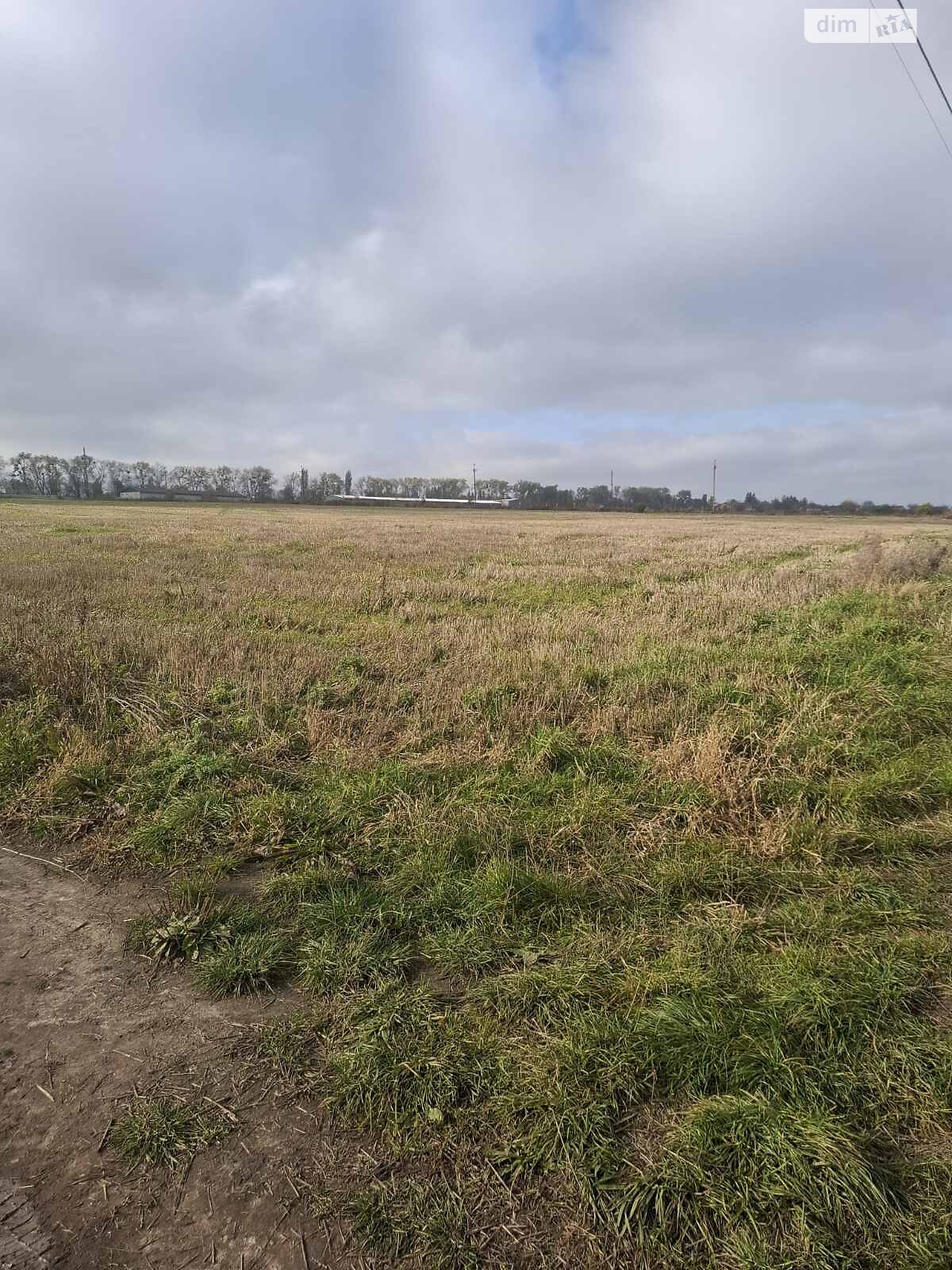 Земельна ділянка сільськогосподарського призначення в Лісових Гринівцях, площа 24.32 сотки фото 1