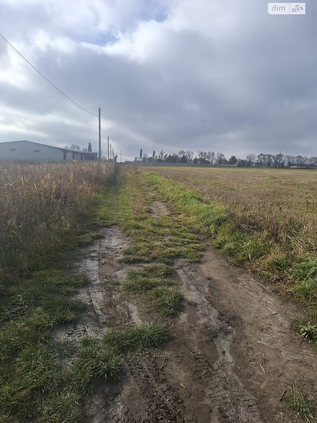 Земельна ділянка сільськогосподарського призначення в Лісових Гринівцях, площа 24.32 сотки фото 1