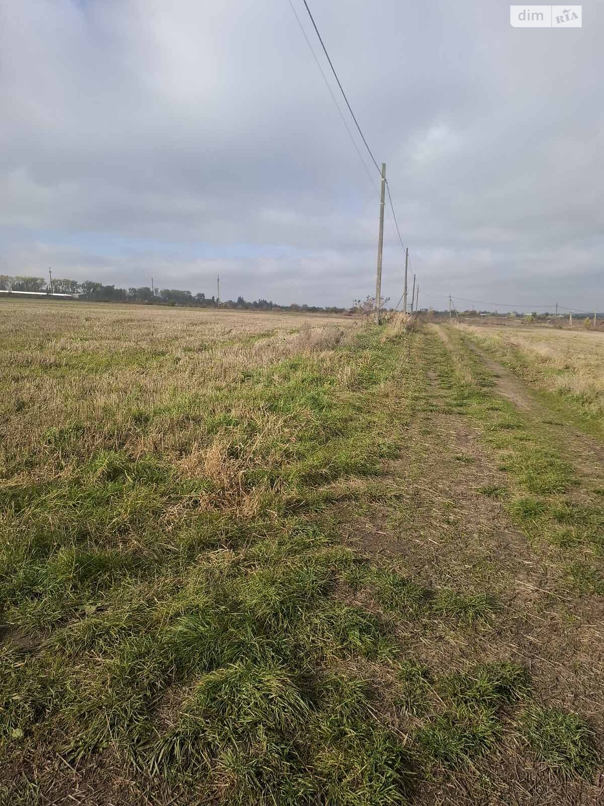 Земельна ділянка сільськогосподарського призначення в Лісових Гринівцях, площа 24.32 сотки фото 1