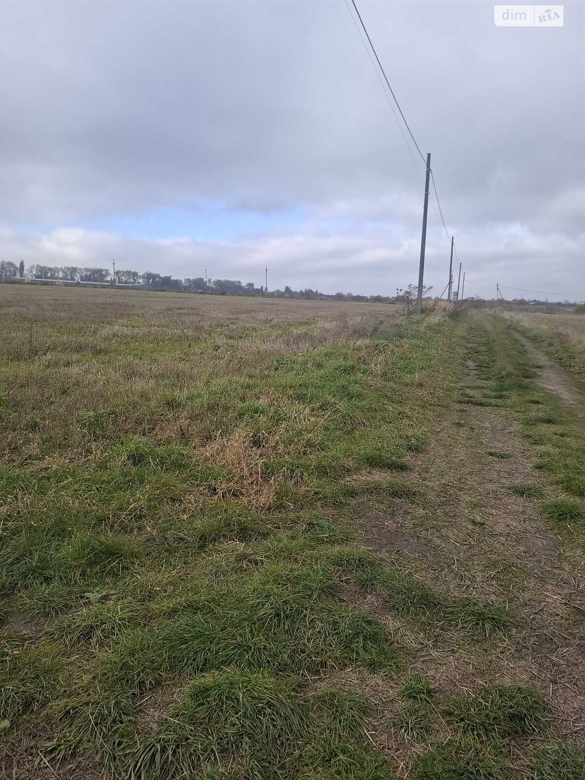 Земельна ділянка сільськогосподарського призначення в Лісових Гринівцях, площа 24.32 сотки фото 1