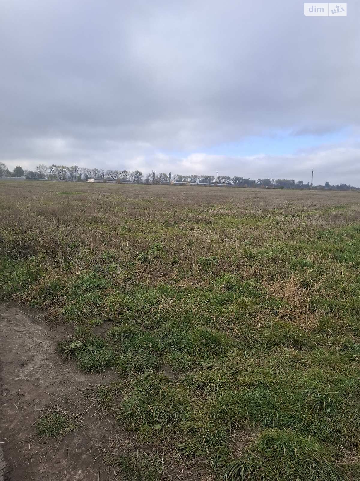 Земельна ділянка сільськогосподарського призначення в Лісових Гринівцях, площа 24.32 сотки фото 1