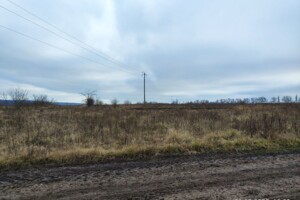 Земельный участок сельскохозяйственного назначения в Лесовых Гриновцах, площадь 10 соток фото 2 Земельный участок сельскохозяйственного назначения в Лесовых Гриновцах, площадь 10 соток фото 2