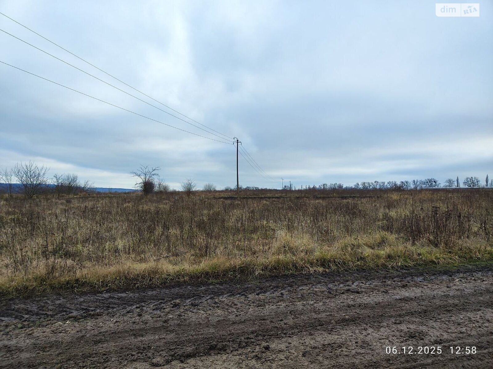 Земельный участок сельскохозяйственного назначения в Лесовых Гриновцах, площадь 10 соток фото 1 Земельный участок сельскохозяйственного назначения в Лесовых Гриновцах, площадь 10 соток фото 1