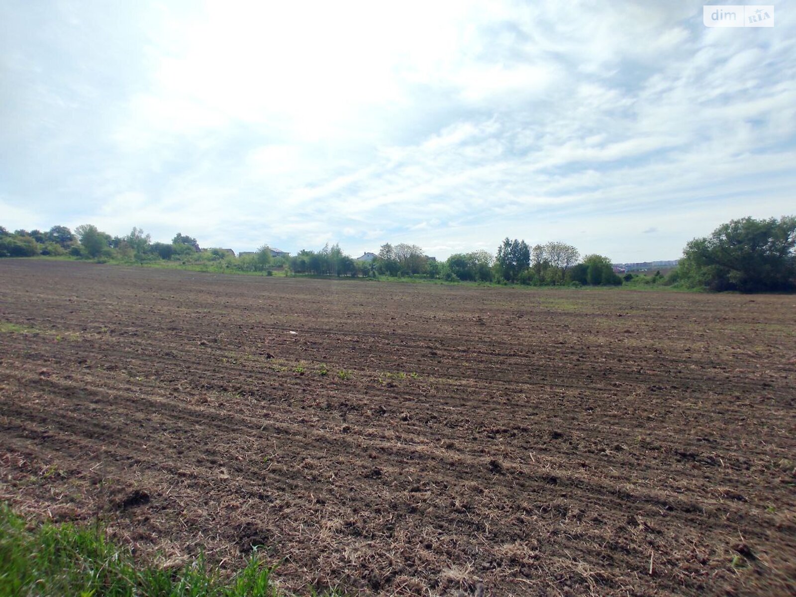 Земельный участок сельскохозяйственного назначения в Лесовых Гриновцах, площадь 12 соток фото 1