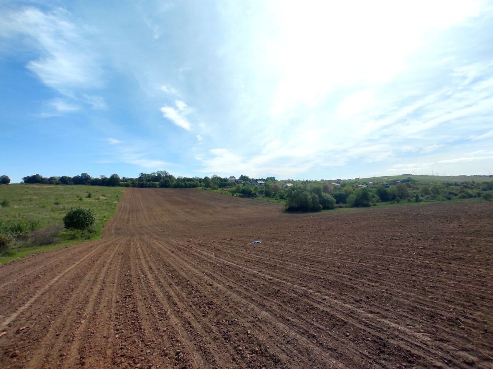 Земельна ділянка сільськогосподарського призначення в Лісових Гринівцях, площа 12 соток фото 1