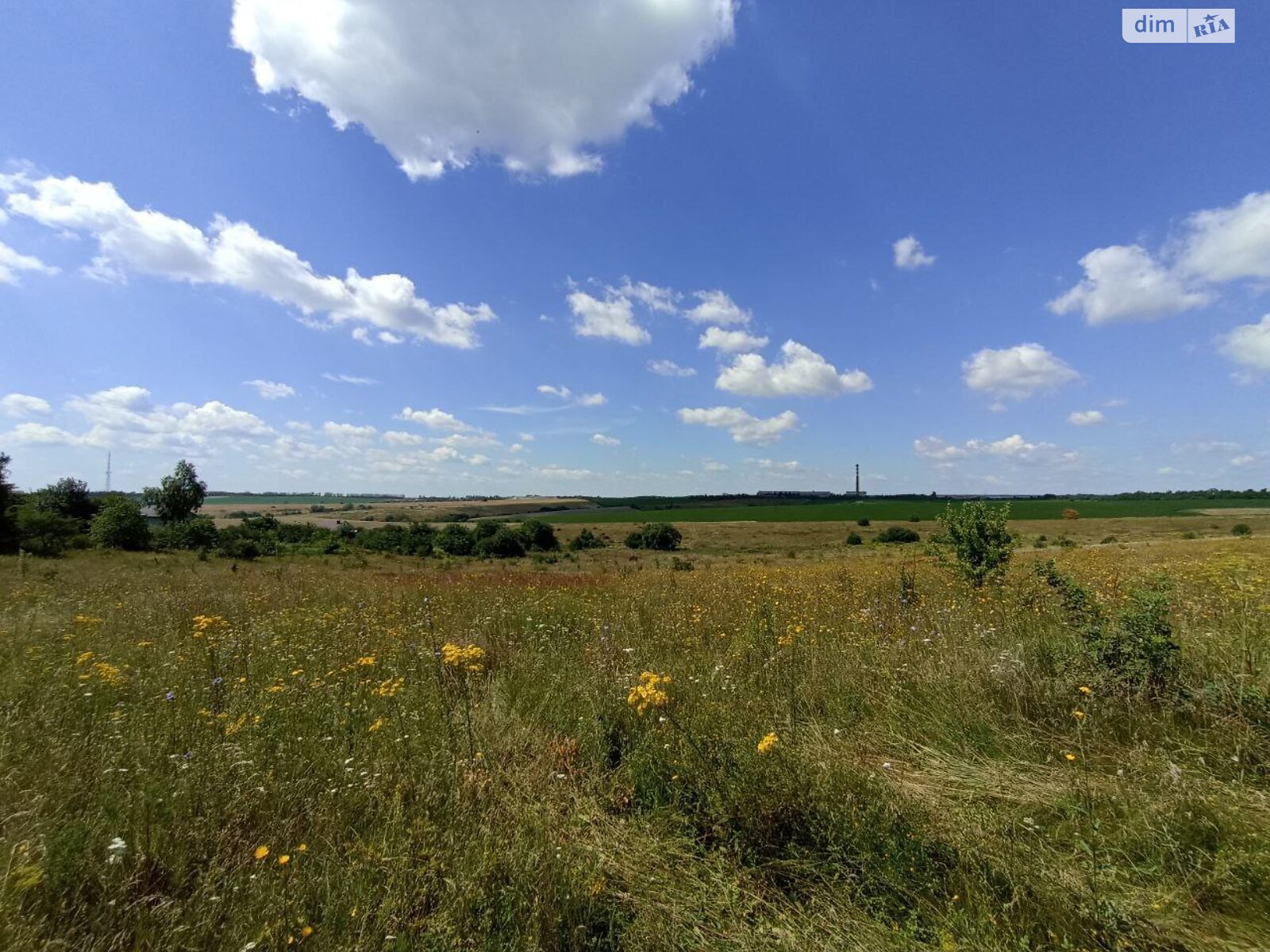 Земельна ділянка сільськогосподарського призначення в Лісових Гринівцях, площа 10 соток фото 1