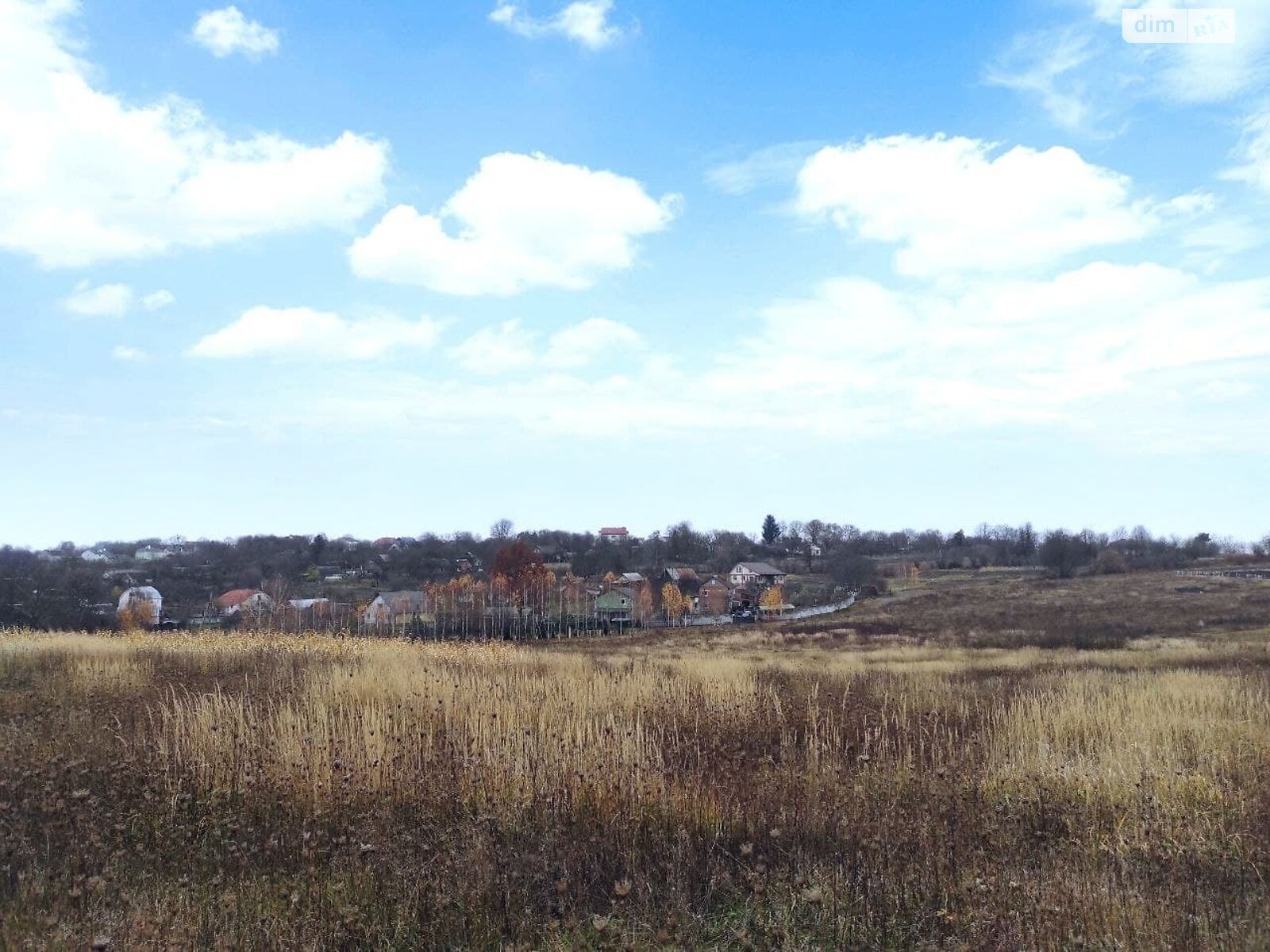 Земельна ділянка сільськогосподарського призначення в Лісових Гринівцях, площа 40 соток фото 1 Земельна ділянка сільськогосподарського призначення в Лісових Гринівцях, площа 40 соток фото 1