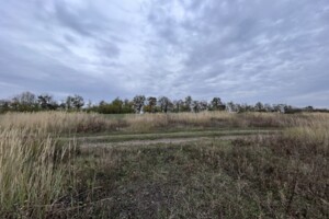 Земельна ділянка сільськогосподарського призначення в Лісових Гринівцях, площа 10 соток фото 2