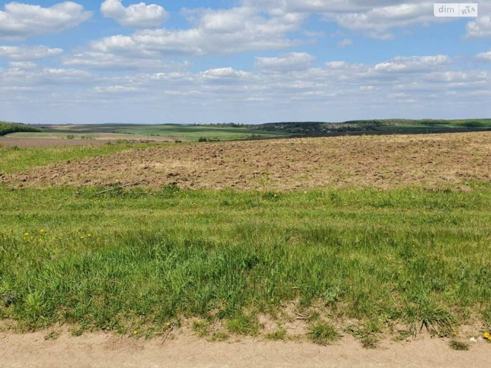 Земельный участок сельскохозяйственного назначения в Лесовых Гриновцах, площадь 10 соток фото 1