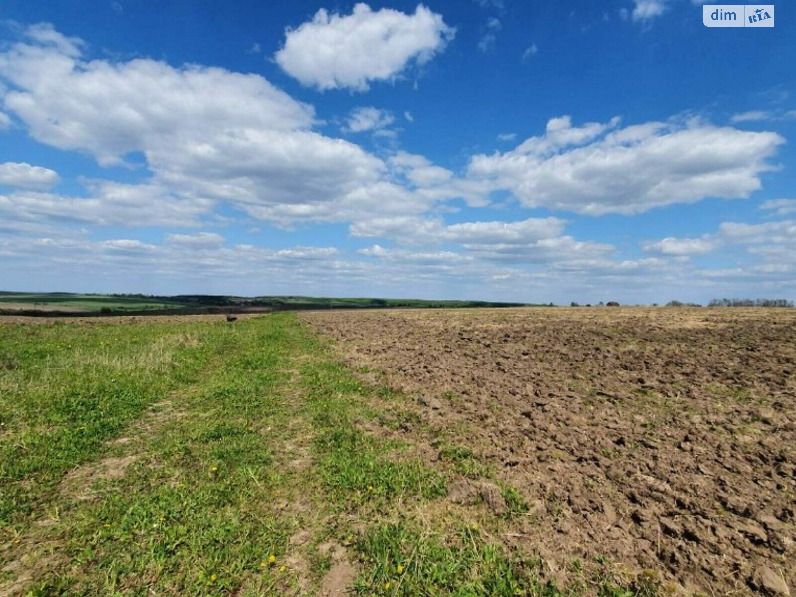 Земельный участок сельскохозяйственного назначения в Лесовых Гриновцах, площадь 10 соток фото 1
