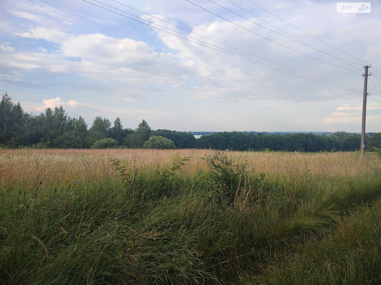 Земля сельскохозяйственного назначения в Летичеве, район Летичев, площадь 9 соток фото 1