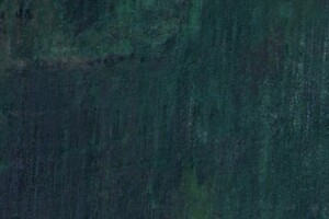 Земельный участок сельскохозяйственного назначения в Летничьем, площадь 0.4943 Га фото 1