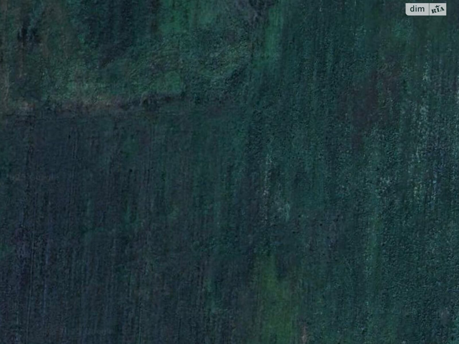 Земельный участок сельскохозяйственного назначения в Летничьем, площадь 0.4943 Га фото 1