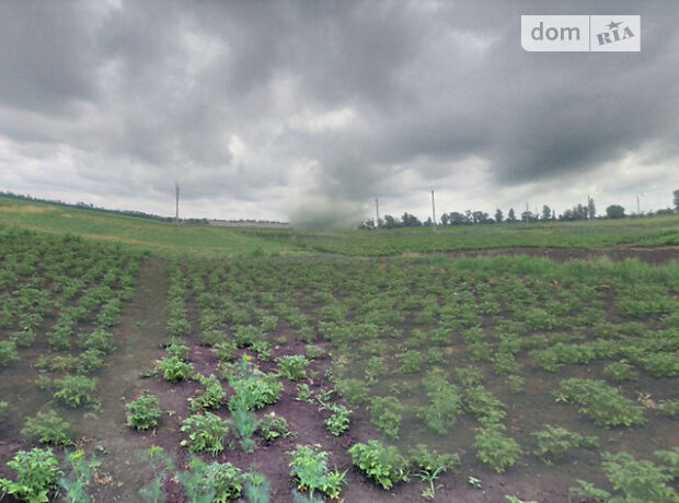 Земельный участок сельскохозяйственного назначения в Лимане, площадь 200 соток фото 1