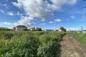 Земельна ділянка сільськогосподарського призначення в Лиманці, площа 160 соток фото 2