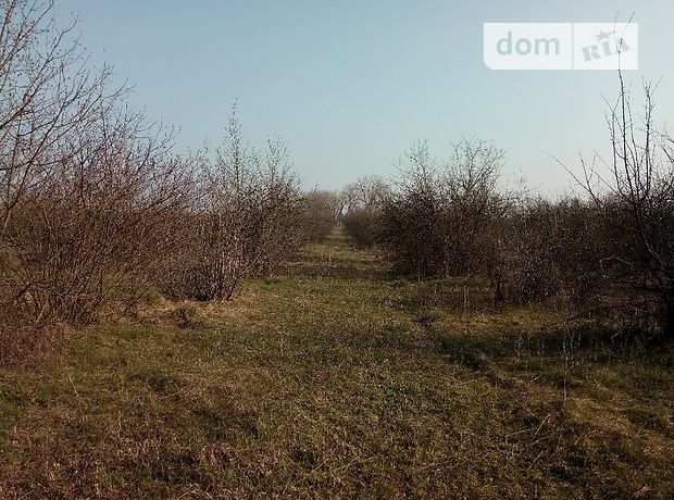 Продажа земли сельскохозяйственного назначения, Винницкая, Липовец, р‑н. Липовец Продажа земли сельскохозяйственного назначения, Винницкая, Липовец, р‑н. Липовец