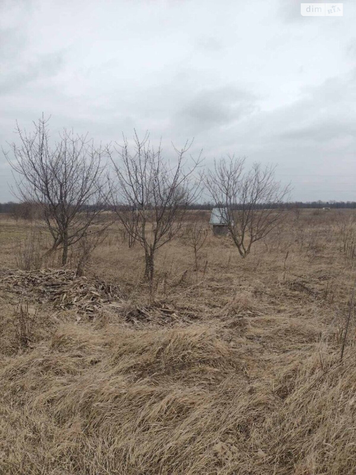 Земля сільськогосподарського призначення в Літині, район Рибаче, площа 8 соток фото 1