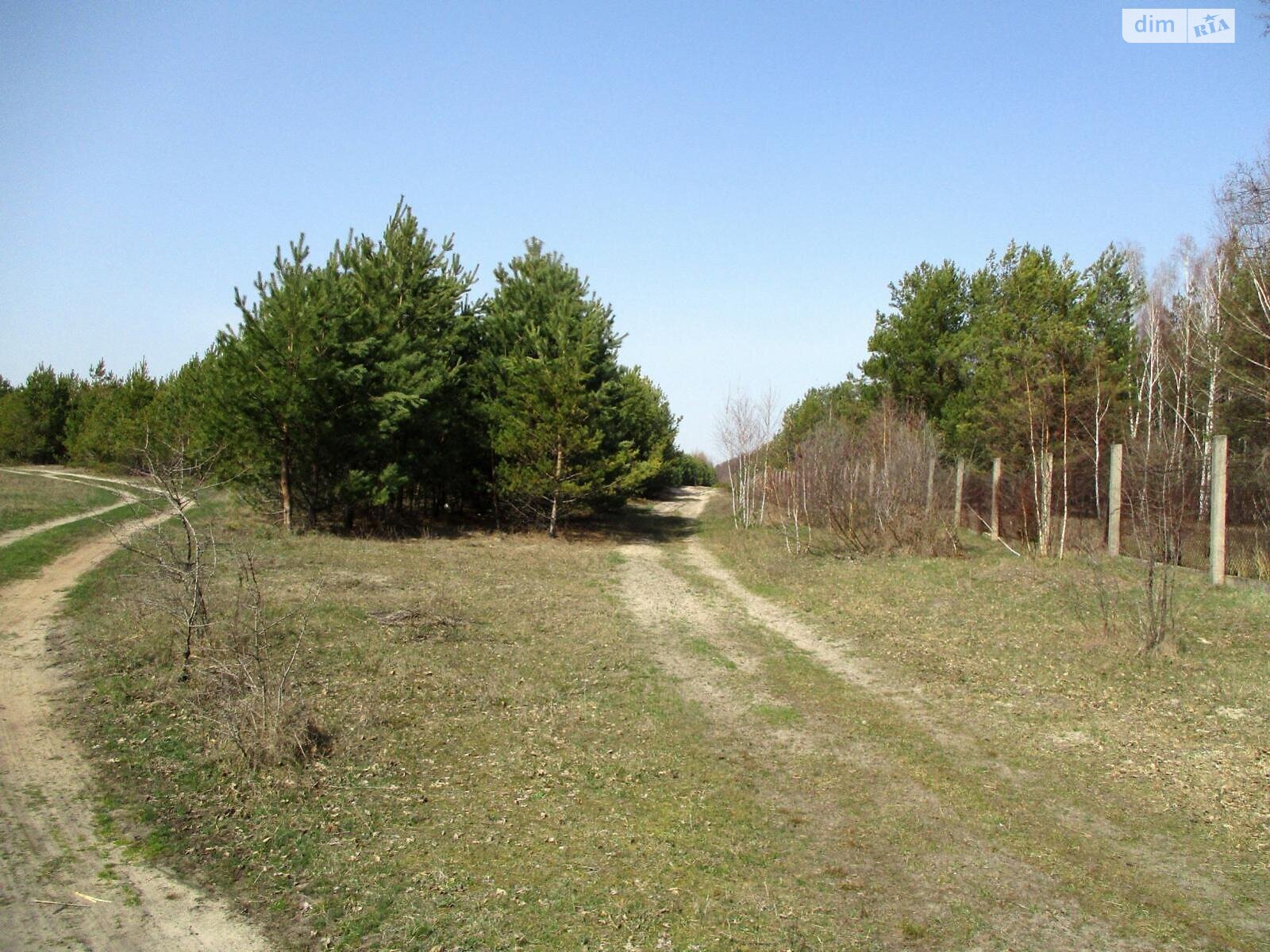 Земельна ділянка сільськогосподарського призначення в Літках, площа 160 соток фото 1