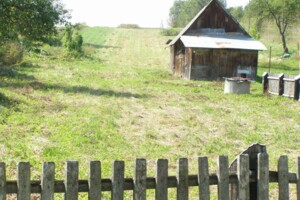 Земельна ділянка сільськогосподарського призначення в Лозині, площа 35 соток фото 2