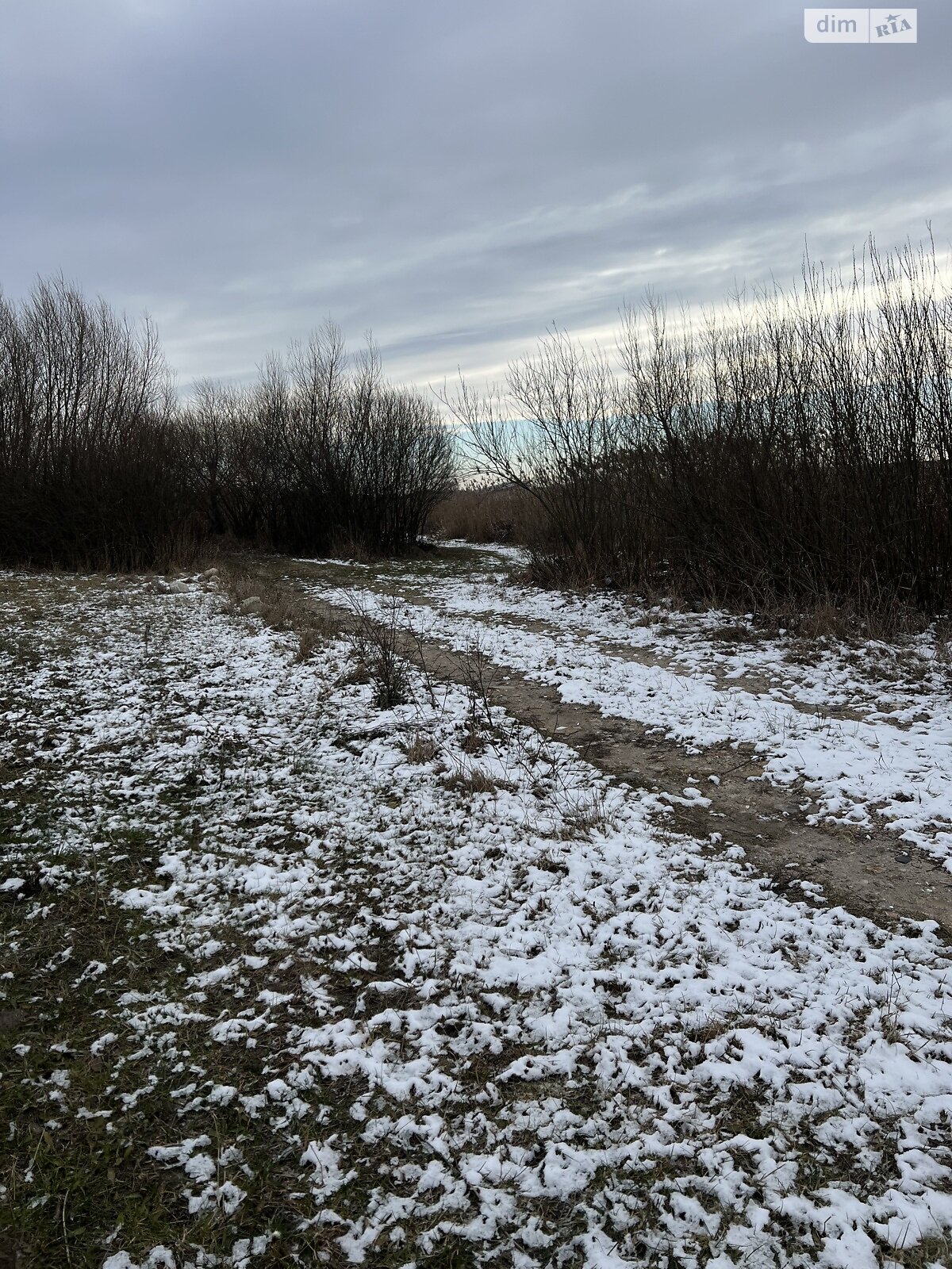 Земельна ділянка сільськогосподарського призначення в Луб’янці, площа 9 соток фото 1