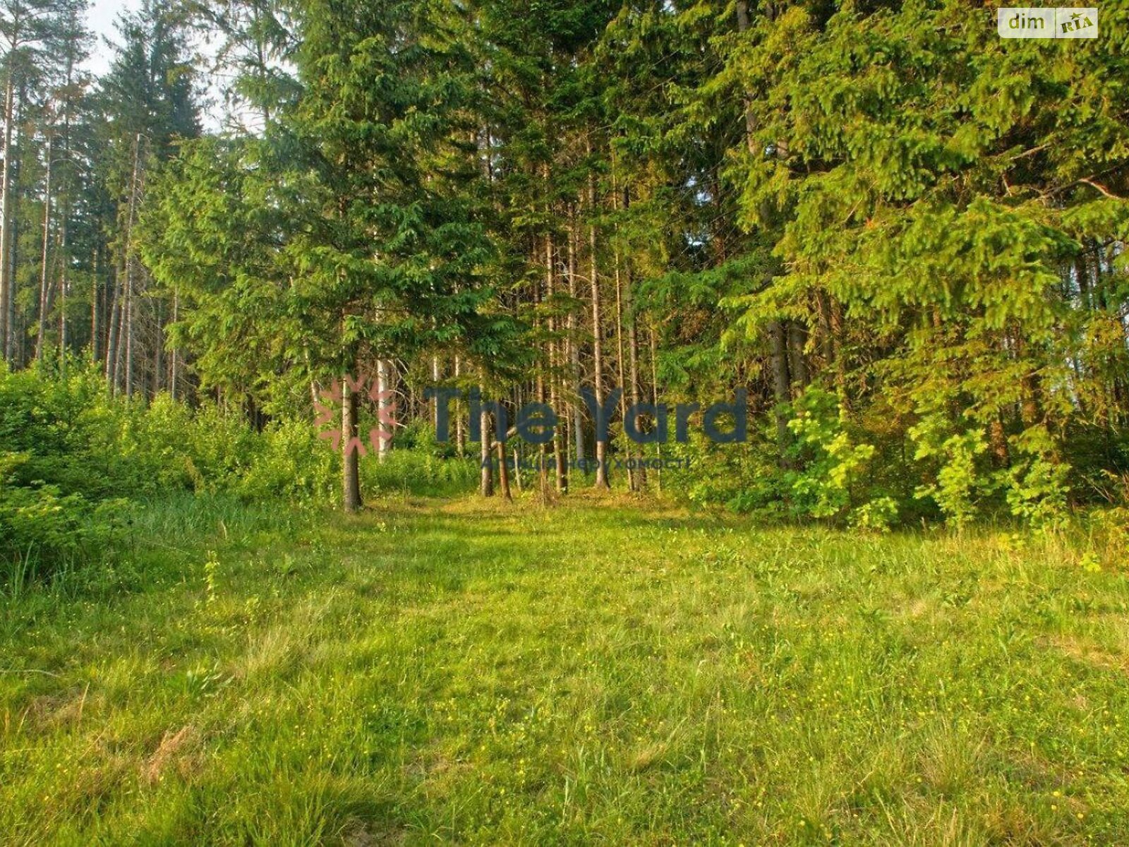 Земельный участок сельскохозяйственного назначения в Лубянке, площадь 10000 соток фото 1