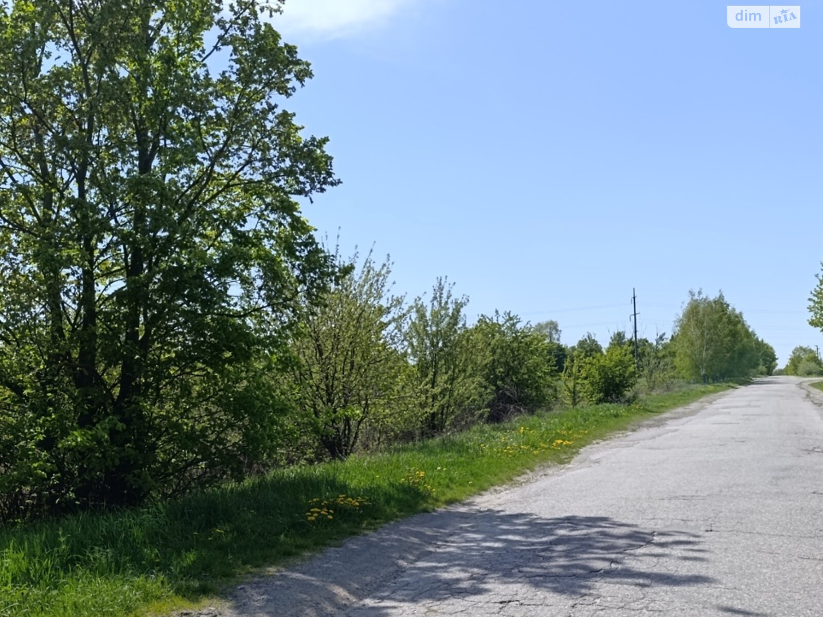 Земельна ділянка сільськогосподарського призначення в Луці-Мелешківській, площа 2.13 Га фото 1