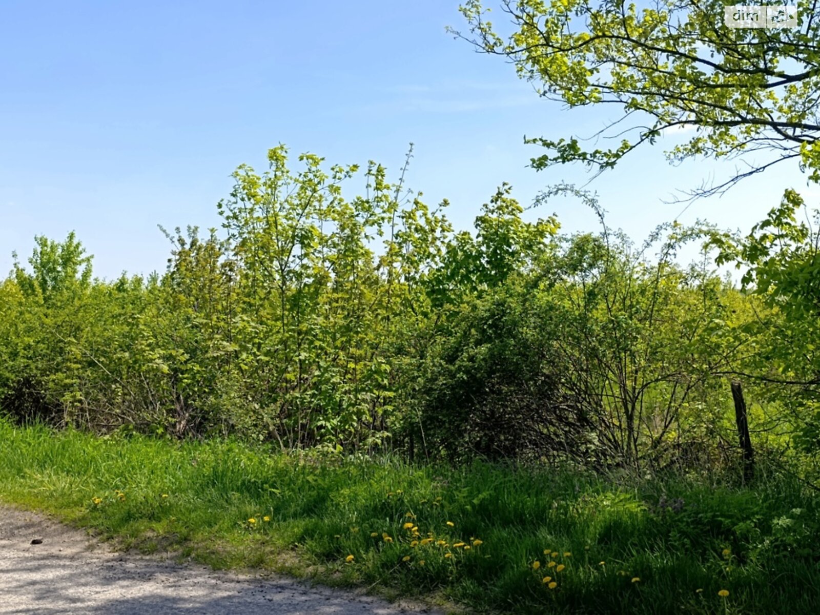 Земельна ділянка сільськогосподарського призначення в Луці-Мелешківській, площа 2.13 Га фото 1