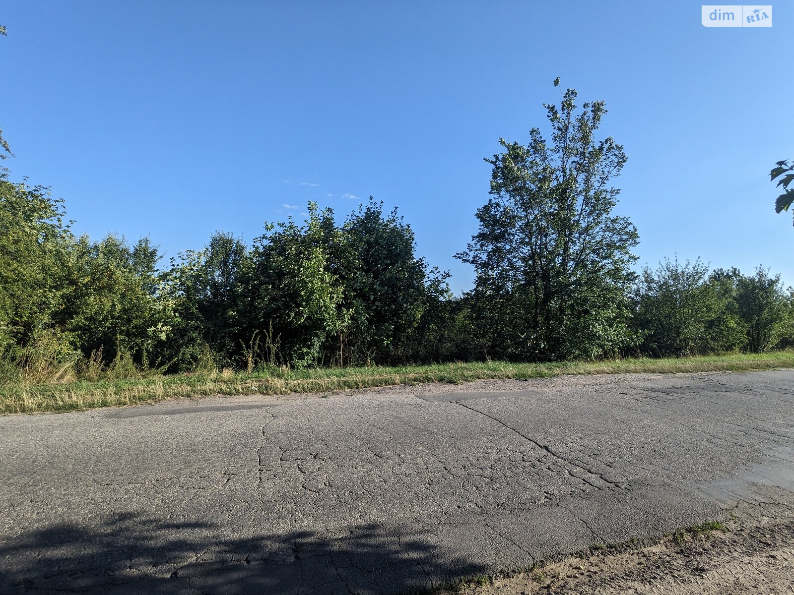 Земельна ділянка сільськогосподарського призначення в Луці-Мелешківській, площа 214 соток фото 1 Земельна ділянка сільськогосподарського призначення в Луці-Мелешківській, площа 214 соток фото 1
