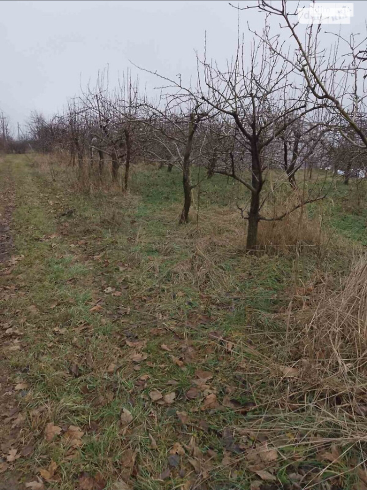 Земельна ділянка сільськогосподарського призначення в Луці-Мелешківській, площа 10 соток фото 1 Земельна ділянка сільськогосподарського призначення в Луці-Мелешківській, площа 10 соток фото 1