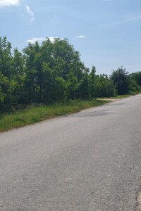 Земельна ділянка сільськогосподарського призначення в Луці-Мелешківській, площа 2 Га фото 2