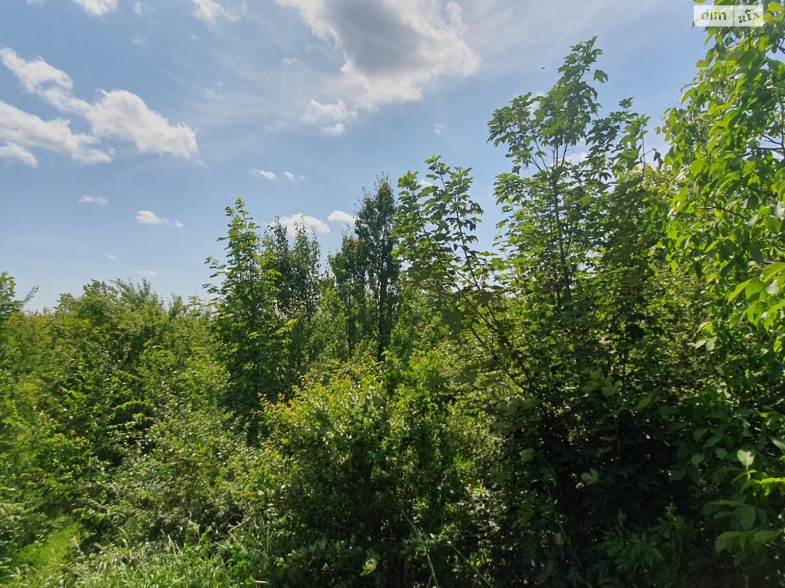 Земельна ділянка сільськогосподарського призначення в Луці-Мелешківській, площа 2 Га фото 1 Земельна ділянка сільськогосподарського призначення в Луці-Мелешківській, площа 2 Га фото 1