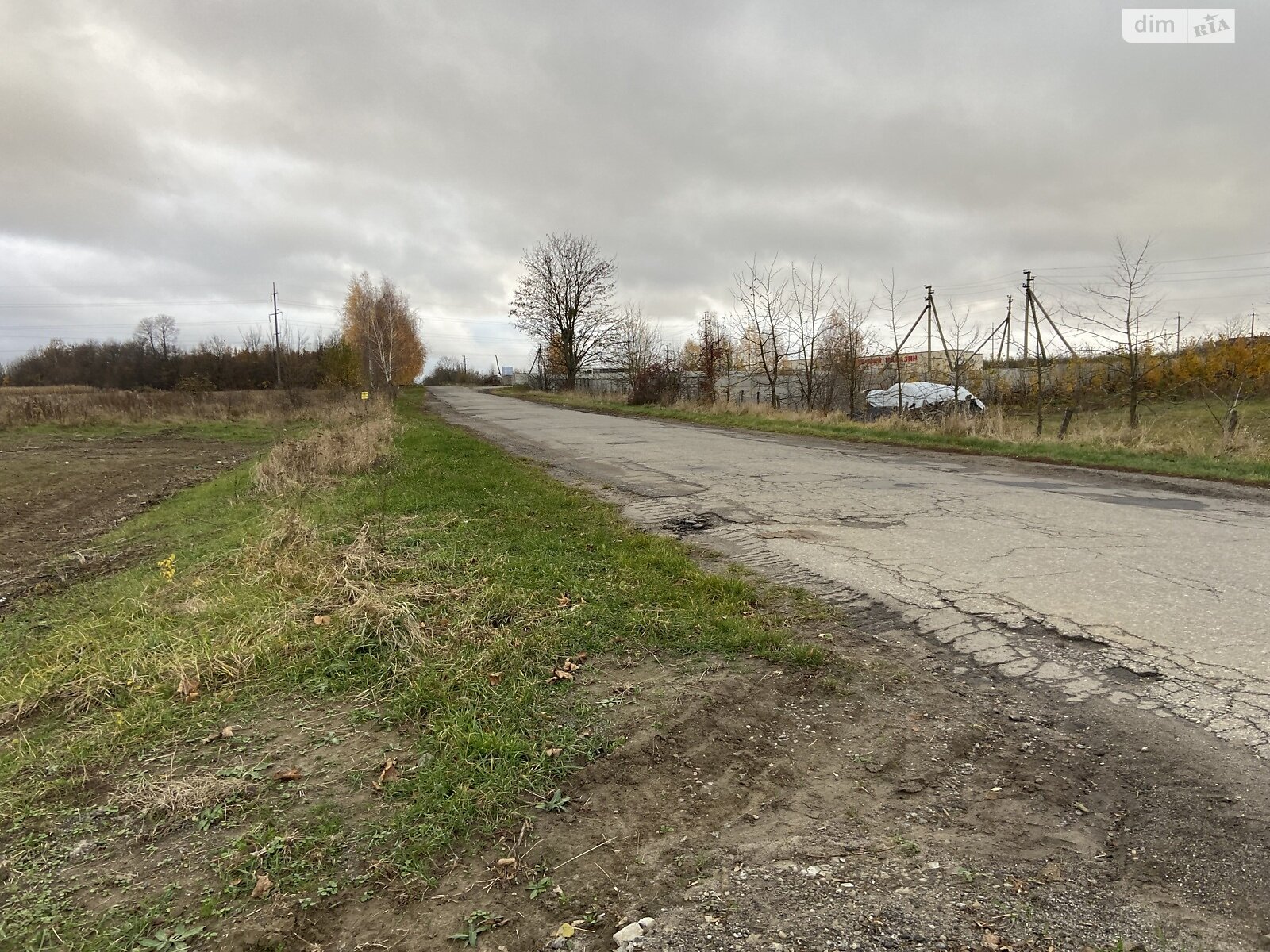 Земельный участок сельскохозяйственного назначения в Луке-Мелешковской, площадь 40 соток фото 1