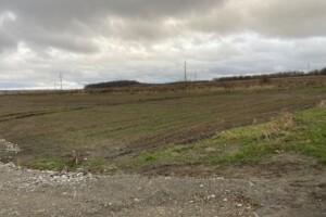 Земельный участок сельскохозяйственного назначения в Луке-Мелешковской, площадь 40 соток фото 2