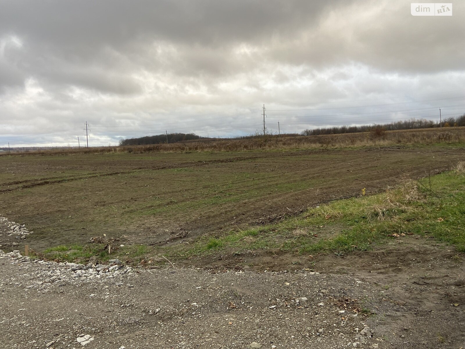 Земельный участок сельскохозяйственного назначения в Луке-Мелешковской, площадь 40 соток фото 1