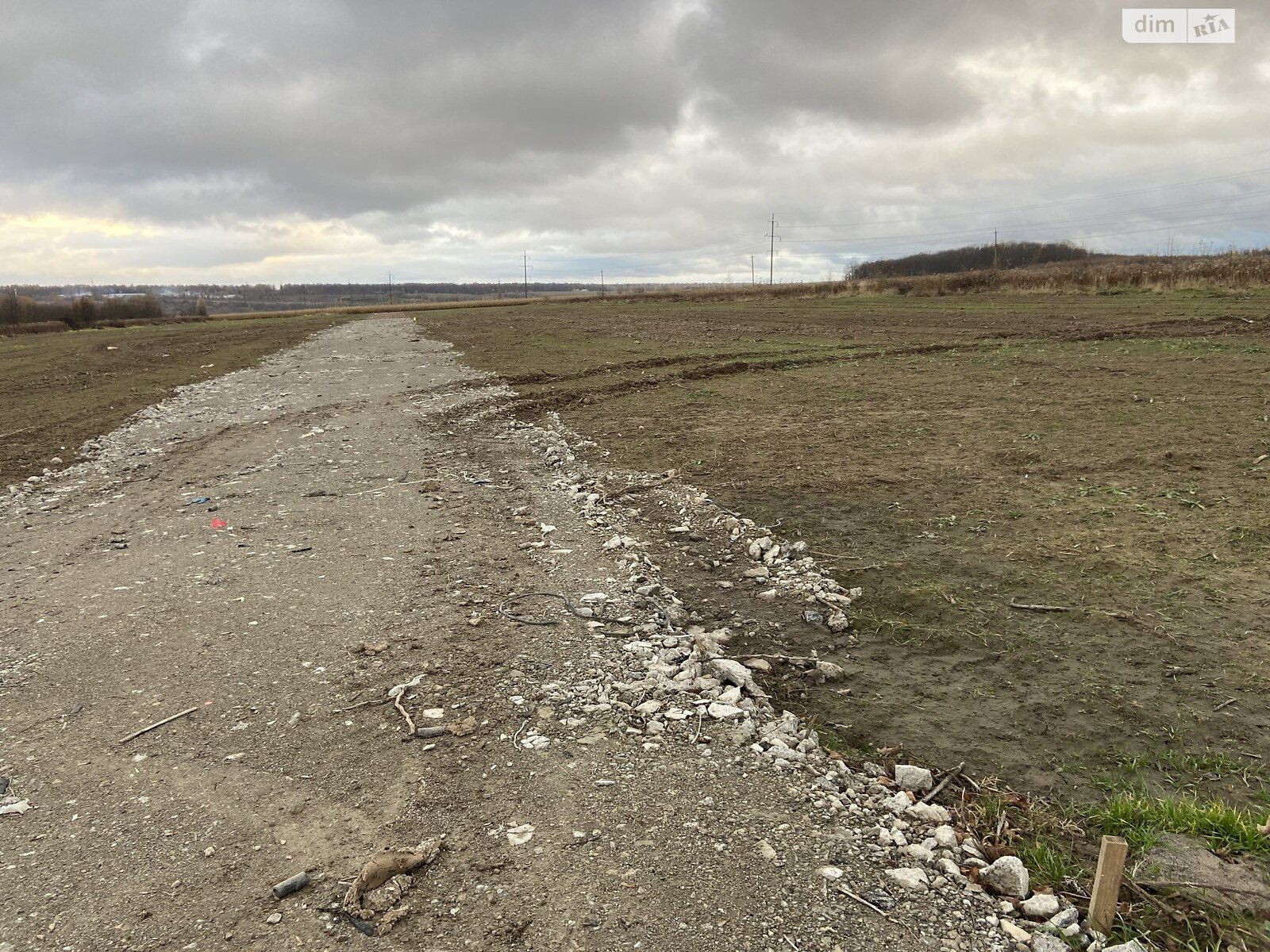 Земельный участок сельскохозяйственного назначения в Луке-Мелешковской, площадь 40 соток фото 1