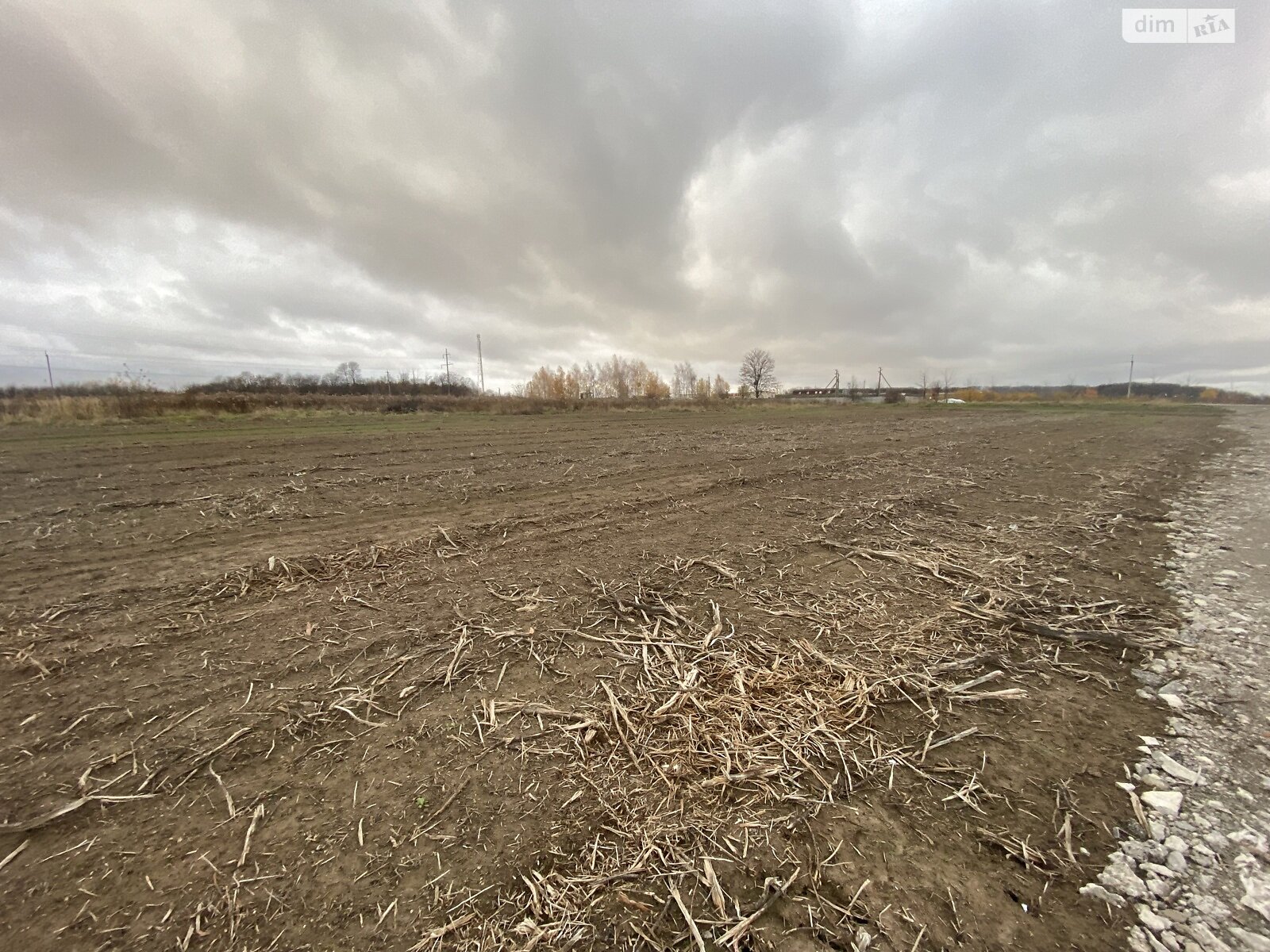 Земельный участок сельскохозяйственного назначения в Луке-Мелешковской, площадь 40 соток фото 1