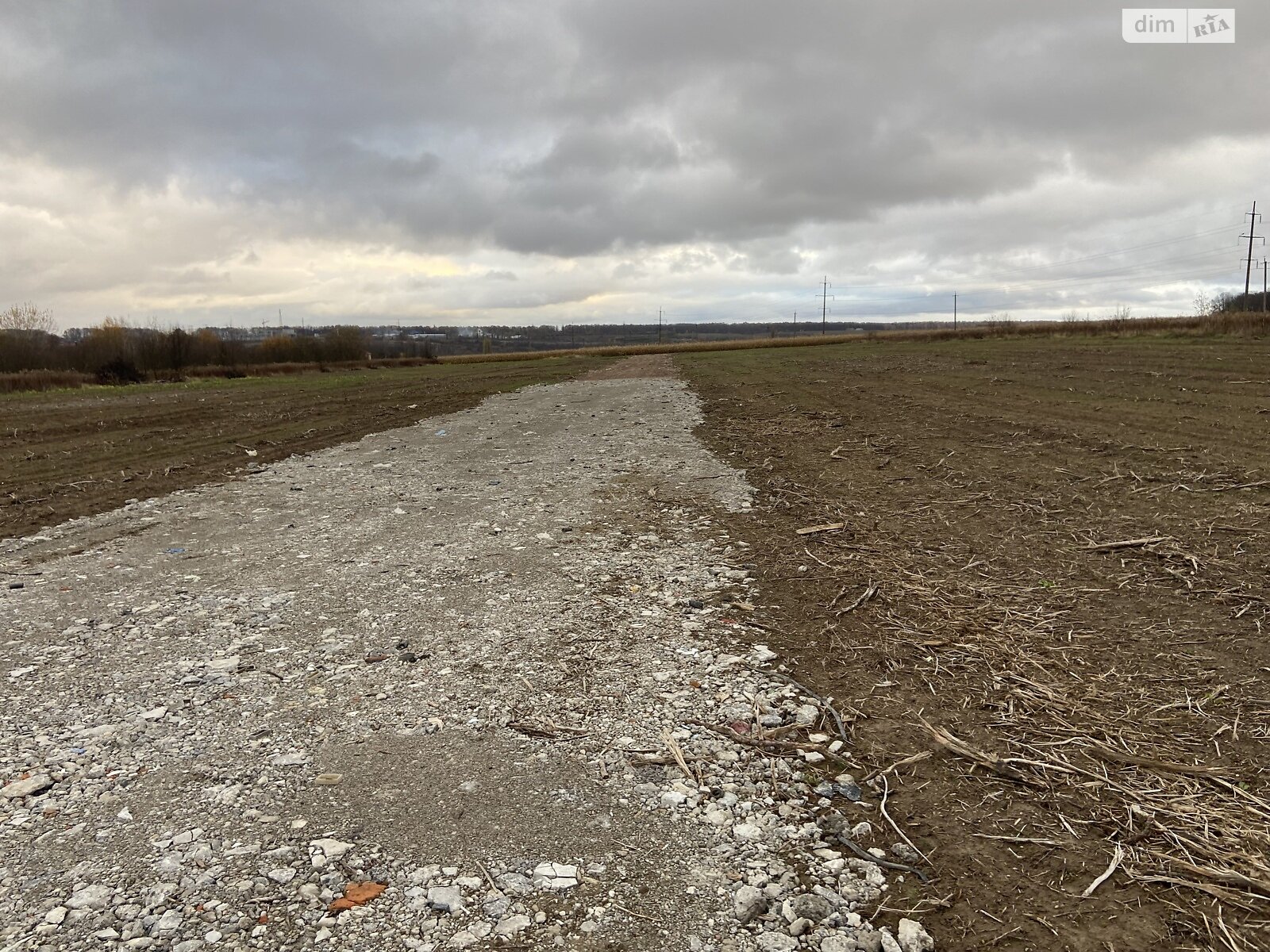 Земельный участок сельскохозяйственного назначения в Луке-Мелешковской, площадь 40 соток фото 1