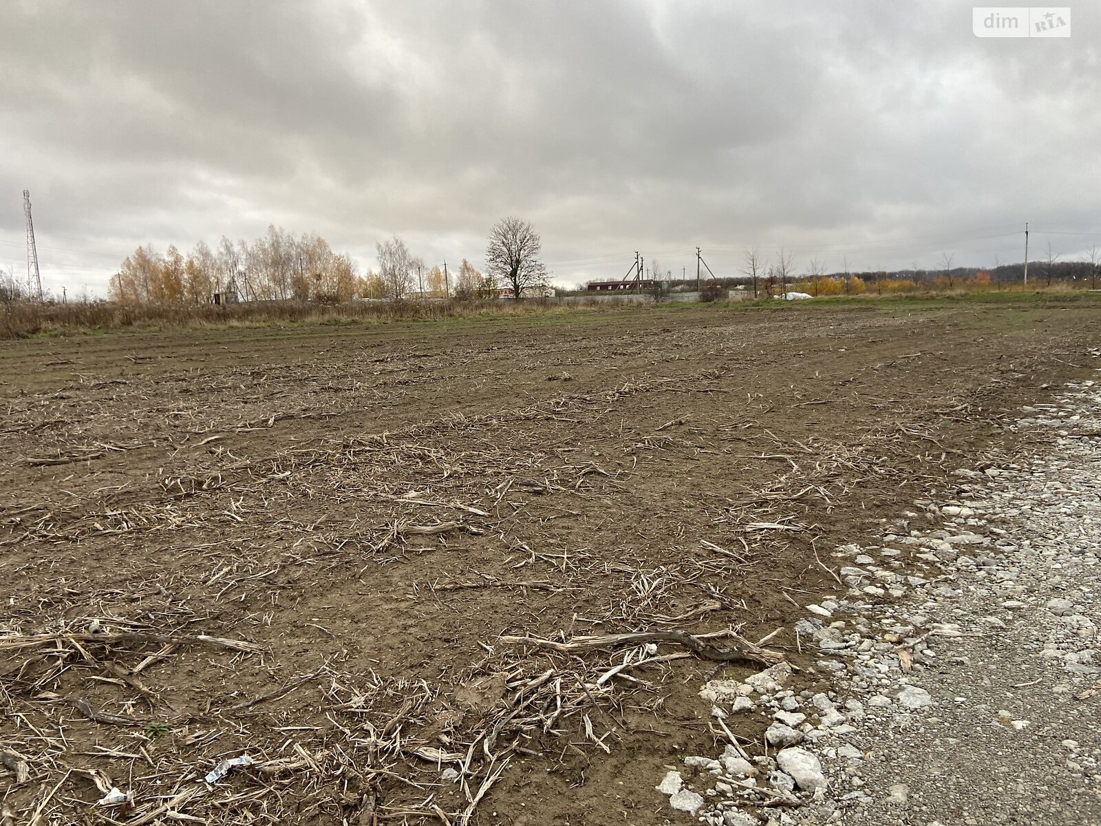 Земельный участок сельскохозяйственного назначения в Луке-Мелешковской, площадь 40 соток фото 1