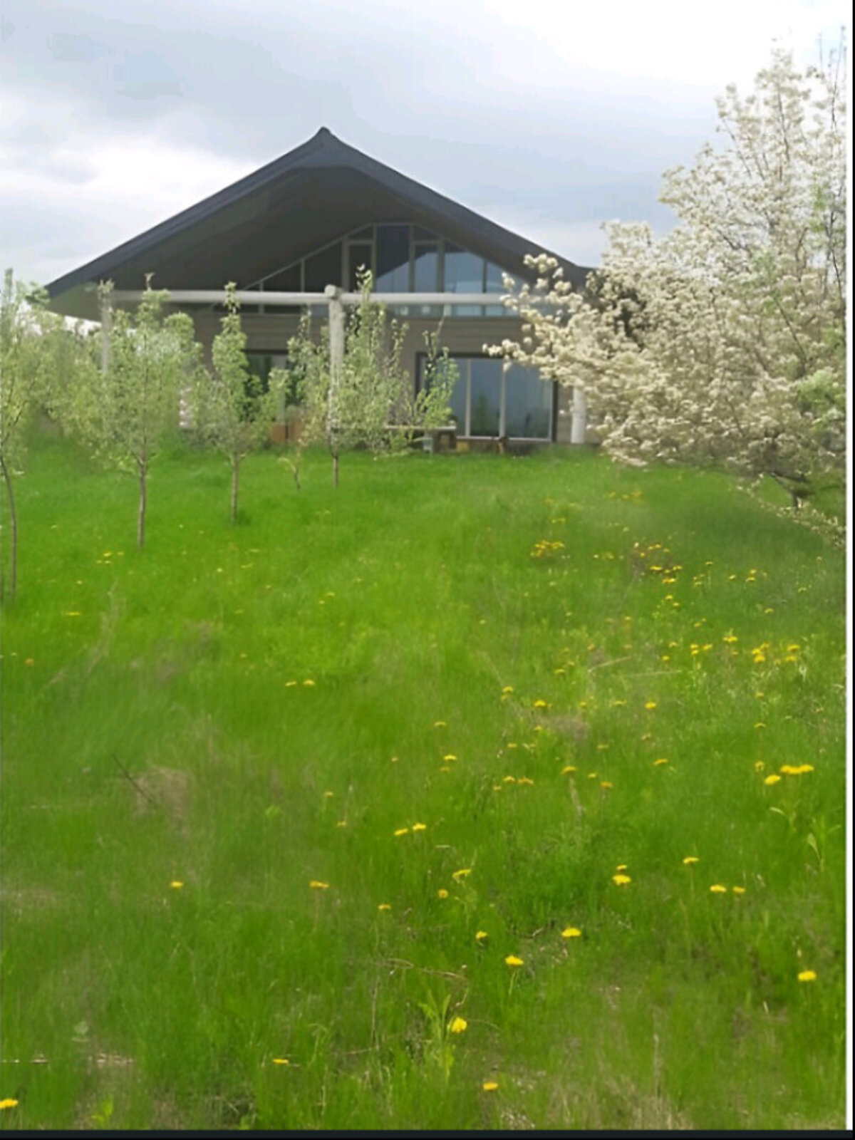 Земельный участок сельскохозяйственного назначения в Луке-Мелешковской, площадь 15.37 сотки фото 1 Земельный участок сельскохозяйственного назначения в Луке-Мелешковской, площадь 15.37 сотки фото 1