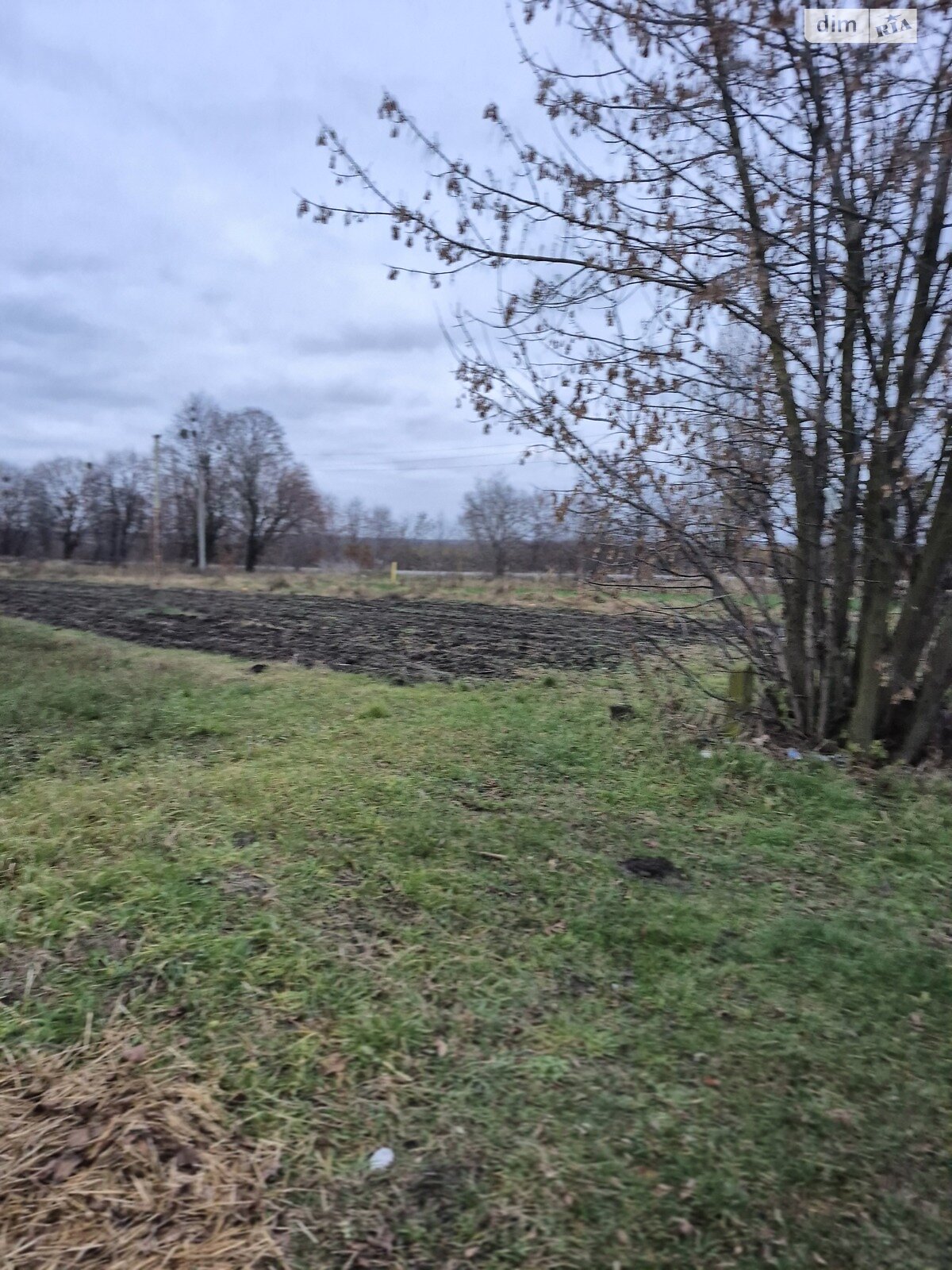 Земельный участок сельскохозяйственного назначения в Луке-Мелешковской, площадь 60 соток фото 1