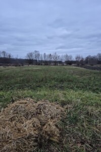 Земельный участок сельскохозяйственного назначения в Луке-Мелешковской, площадь 60 соток фото 2