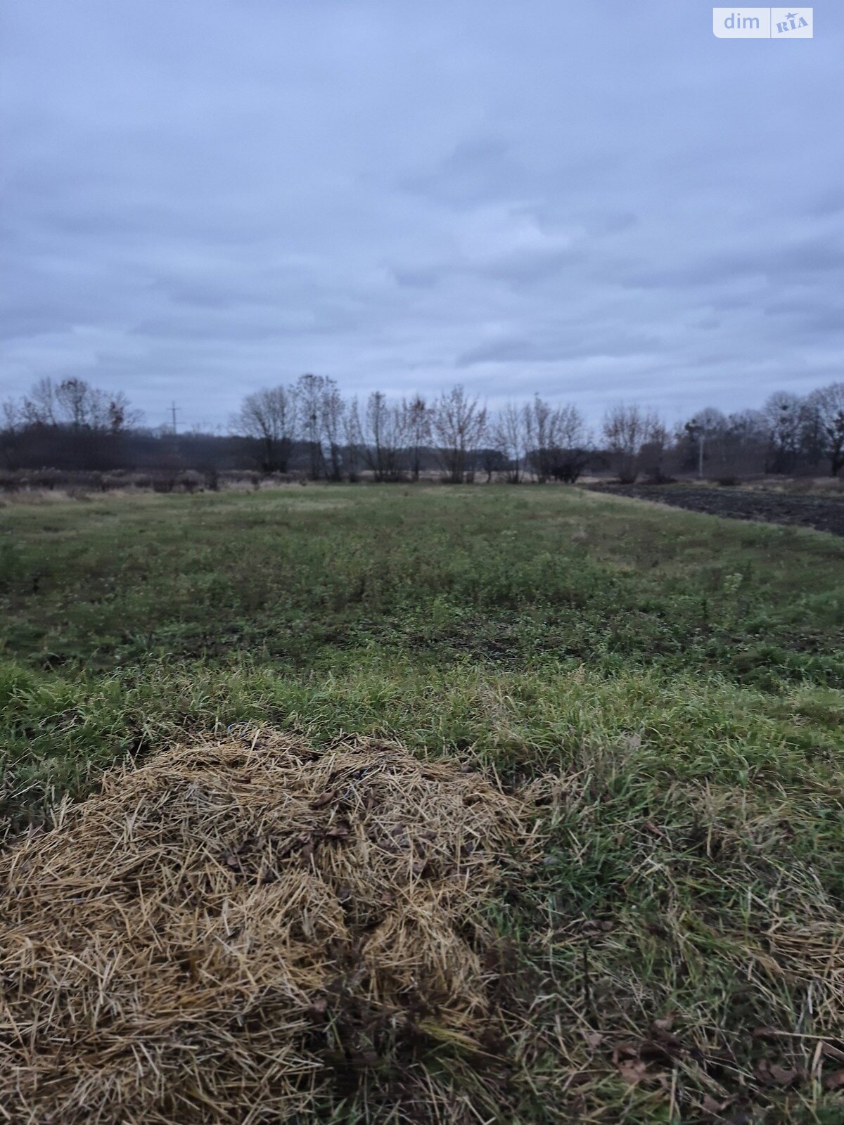 Земельный участок сельскохозяйственного назначения в Луке-Мелешковской, площадь 60 соток фото 1