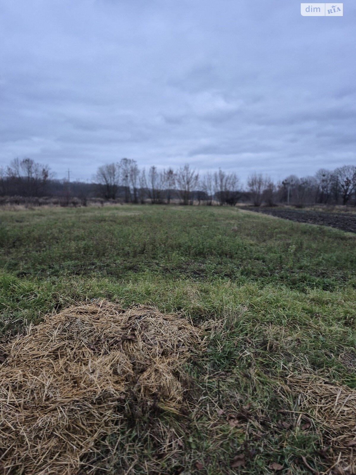 Земельный участок сельскохозяйственного назначения в Луке-Мелешковской, площадь 60 соток фото 1