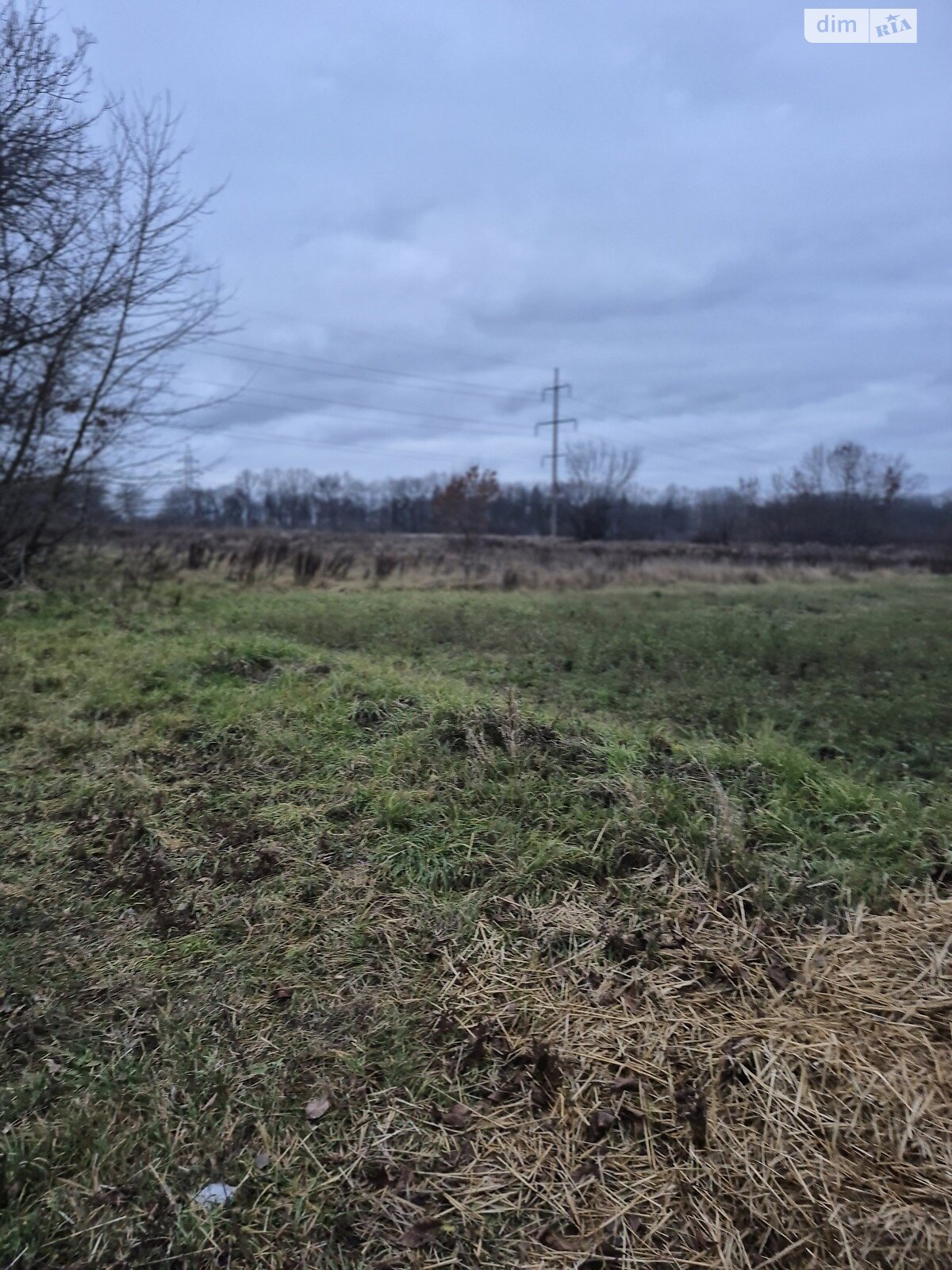 Земельный участок сельскохозяйственного назначения в Луке-Мелешковской, площадь 60 соток фото 1