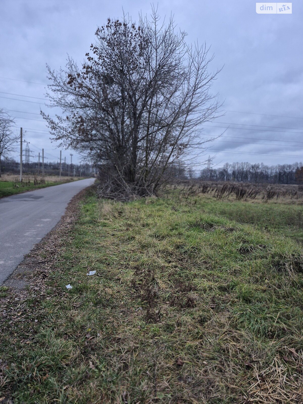 Земельный участок сельскохозяйственного назначения в Луке-Мелешковской, площадь 60 соток фото 1