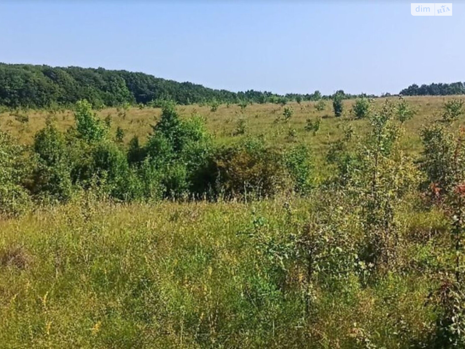Земельна ділянка сільськогосподарського призначення в Луці-Мелешківській, площа 12 соток фото 1