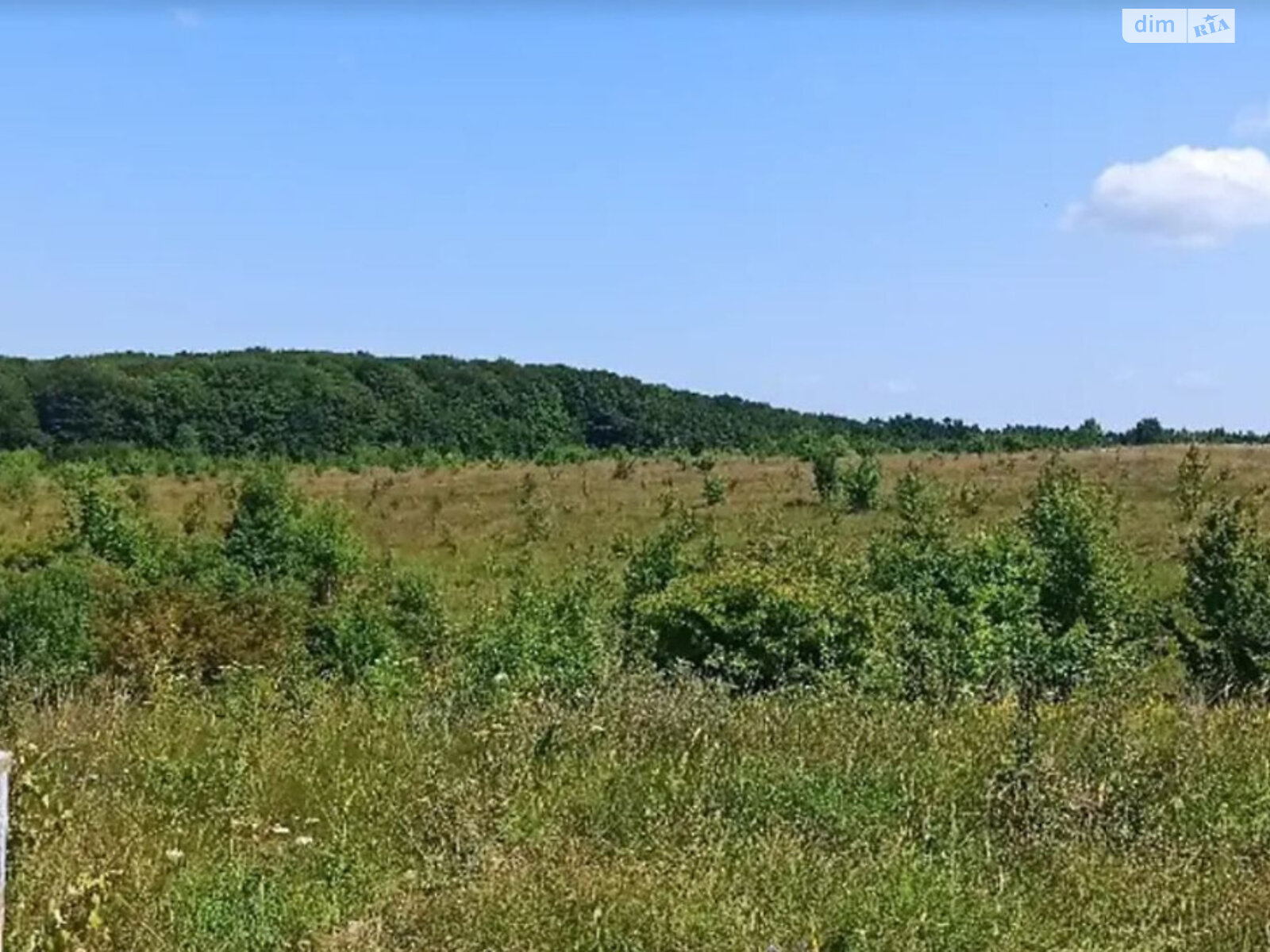 Земельна ділянка сільськогосподарського призначення в Луці-Мелешківській, площа 12 соток фото 1