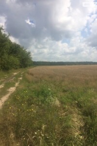 Земельна ділянка сільськогосподарського призначення в Луці-Мелешківській, площа 50 соток фото 2